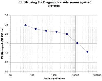 ELISA: ZBTB38 Antibody [NBP3-18641] - Figure 1. Determination of the titer To determine the titer, an ELISA was performed using a serial dilution of the antibody directed against human ZBTB38 . The plates were coated with the peptides used for immunization of the rabbit. By plotting the absorbance against the antibody dilution (Figure 1), the titer of the antibody was estimated to be 1:26,000.